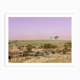 Dartmoor sunset Art Print