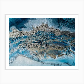 Ocean Life 4 Art Print