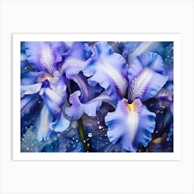 Blue Iris 7 Art Print