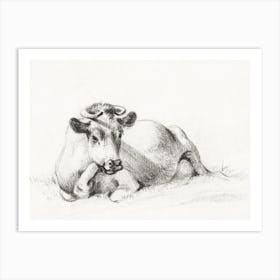 Lying Cow 1, Jean Bernard Art Print