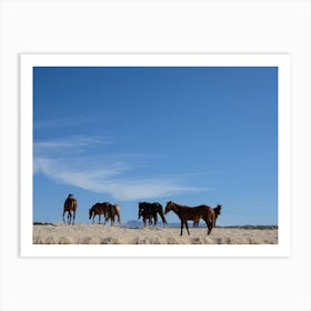 Wild Horses And Blue Skies Art Print