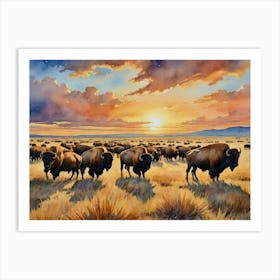 Bison Herd At Sunset The Chill of Nature's Beauty Art Print