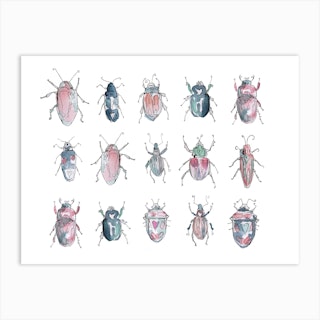 Beetle Beauties Art Print