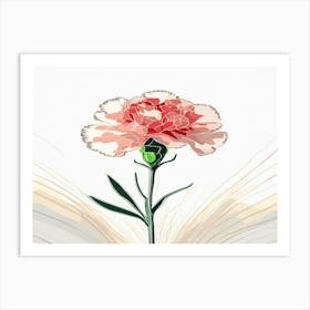 Carnation 19 Art Print