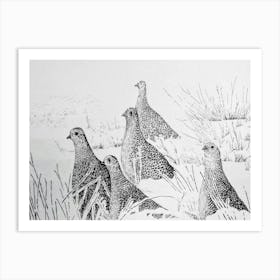 Partridges Art Print