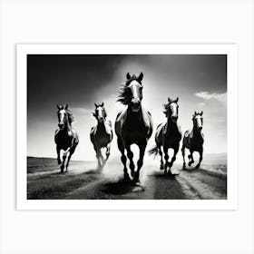 Horses galloping in a field. 1 Art Print