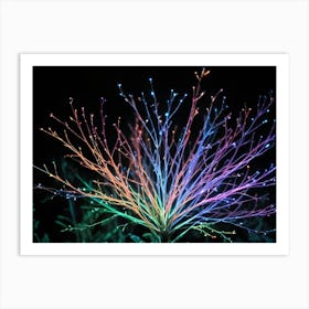 Abstract Colorful Branch With Lights On Black Background Art Print