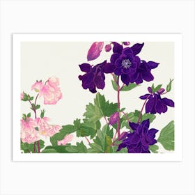 Coleus Art Print