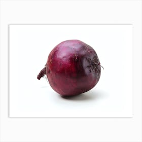 Beetroot isolated on white background. 1 Art Print