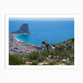 Female mountain goat looks at the Mediterranean coast in Calpe Art Print