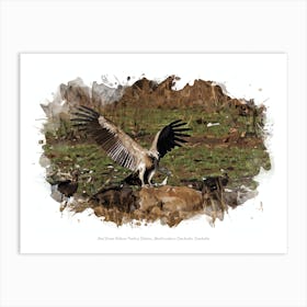 Veal Krous Vulture Feeding Station, Northwestern Cambodia, Cambodia Art Print