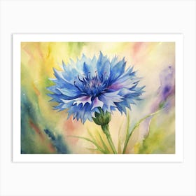 Blue Cornflower 1 Art Print