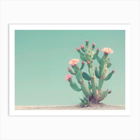 California Dreaming - Cactus Flowers II Art Print