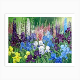 Irises In The Garden Art Print