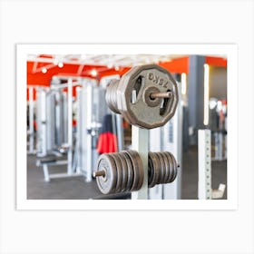 Gym With Weights Art Print