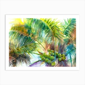 Coconut Palm Tree Watercolor Art Print