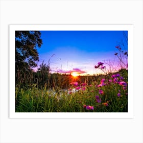 A Bright Sunrise Casting A Luminescent Glow On A Lush Countryside Garden During Summer Awash With P (1) 2 Art Print