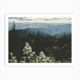 Great Smoky Mountain Wildflower Hike Art Print