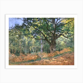 The Bodmer Oak, Fontainebleau Forest (1865), Claude Monet Art Print