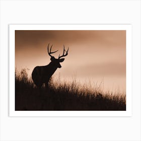 Deer Silhouette Art Print