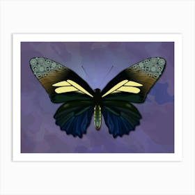 Mechanical Butterfly The Battus Crassus On A Purple Background Art Print