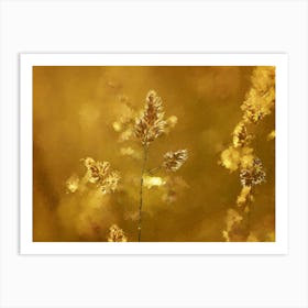 Wheat Stalk, Evening, Oil Painting Art Print