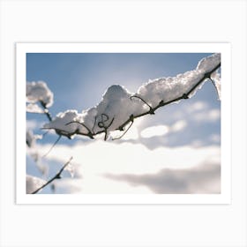 Unitltled 01 - Snow in the Vineyard Series Art Print