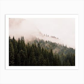 Foggy Mountain Forest Art Print