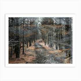 Vintage Forest Photo Collage 7 Art Print