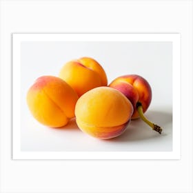 Apricots 1 Art Print