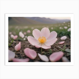 A Pink Flower With Yellow Center Lies On The Ground With Pink Petals Around It Art Print