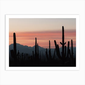 Cactus Sunset Silhouette Art Print