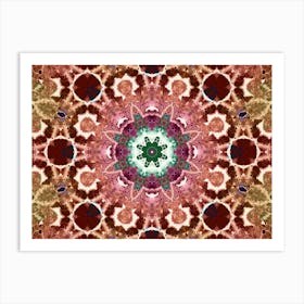 A Star Is A Flower Art Print