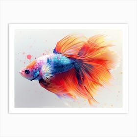 Siamese Catfish 6 Art Print