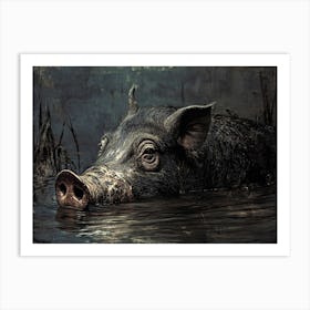 Pig In Water 1 Art Print