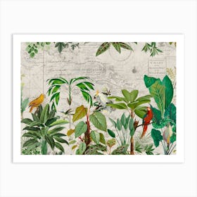 Exotic Birds Journey Art Print