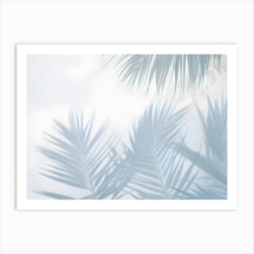 Abstract Background With White Palm Leaves And Soft Shadows, Creating A Serene And Tropical Atmosphere 1 Art Print