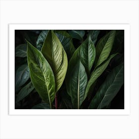 Dark Green Leaves Art Print