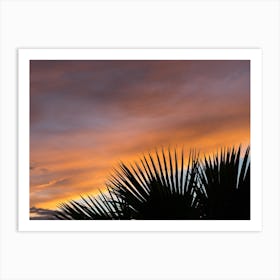 Palm leaves and colourful clouds at sunset Art Print