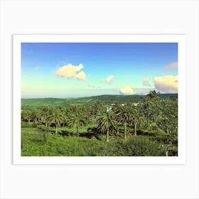 Palm Trees In Santa Cruz De Tenerife, Canary Islands (Spain Series) Art Print