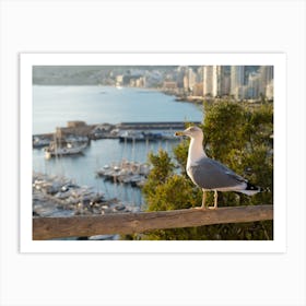 Seagull looks at the marina and the sea Art Print