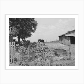 Barnyard Of Tenant Farmer Near Muskogee, Oklahoma, Refer To General Caption Number 20 By Russell Lee Art Print