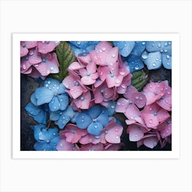 Hydrangeas 32 Art Print