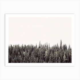 Dense Forest Art Print