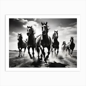 Horses galloping in a field. Art Print