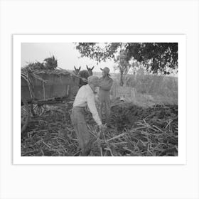 Untitled Photo, Possibly Related To Reaching For Grab Used In Hoisting Hay To Loft, Lake Dick Project, Arkansas B Art Print