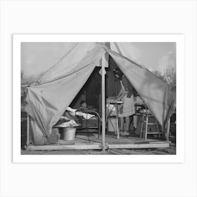 Construction Worker S Wife Ironing In Her Tent Home, Mission Valley, California, About Three Miles From San Diego By Art Print