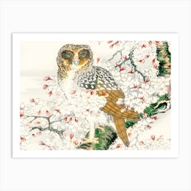 Owl In Blossom 1 Art Print