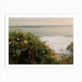 Malibu Wildflowers and Sea Art Print