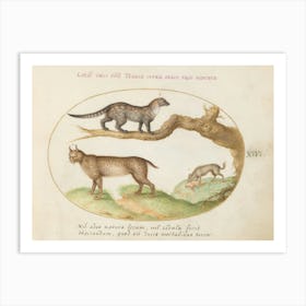 Quadervpedia Animals And Reptiles, Joris Hoefnagel (12) Art Print